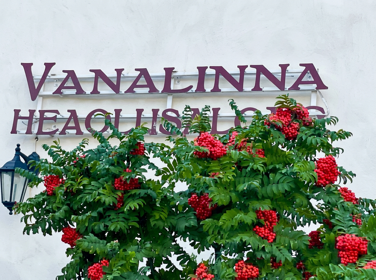 Vanalinna Heaolusalongi silt pihlakaoksade kohal